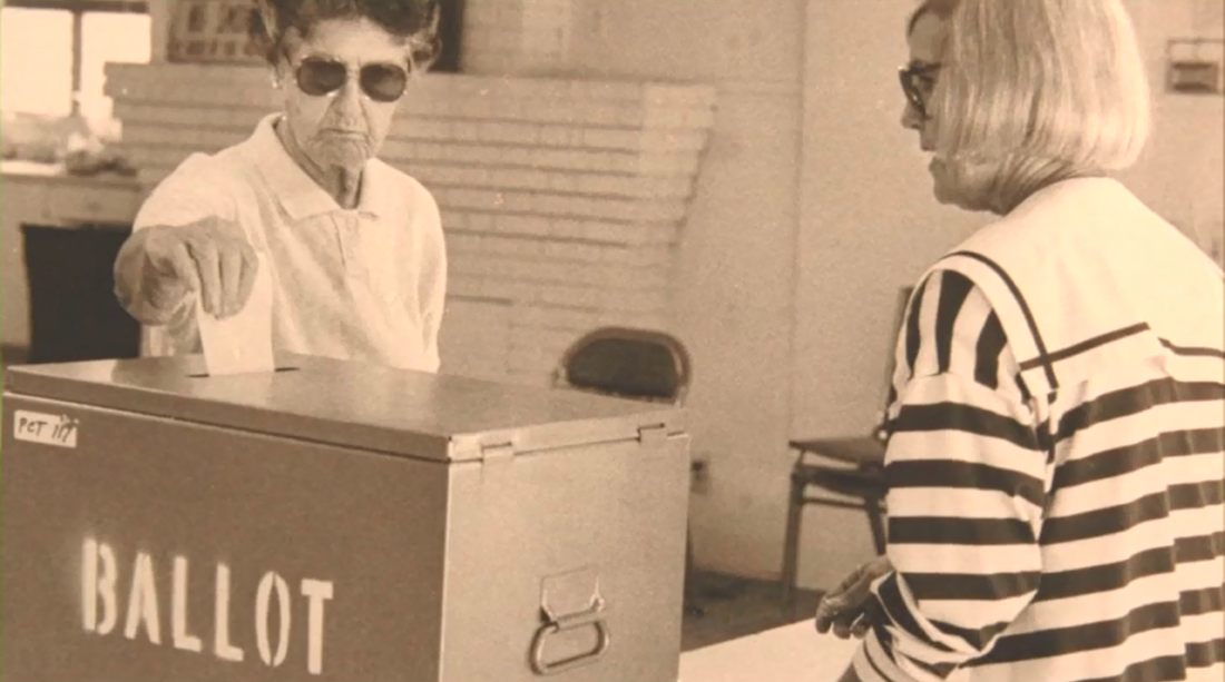 TCH served as 'birthplace' for many entities, activities and services | News, Sports, Jobs - SANIBEL-CAPTIVA - Vimarsana News