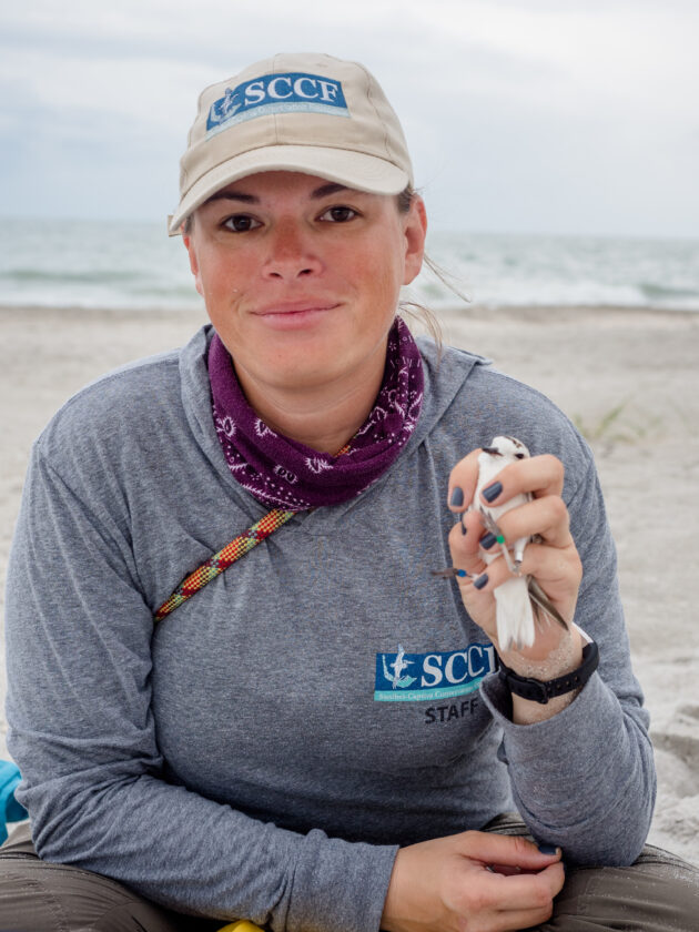 Audubon to present 'Shorebird Conservation on Sanibel Captiva' | News, Sports, Jobs - SANIBEL-CAPTIVA - Vimarsana News