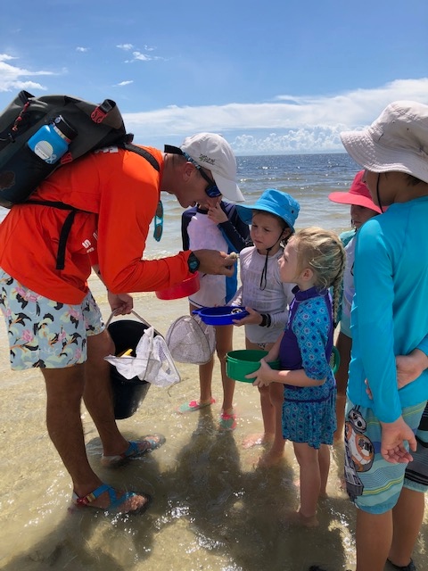 Sanibel Sea School offering new courses, topics for 2022 | News, Sports, Jobs - SANIBEL-CAPTIVA - Vimarsana News