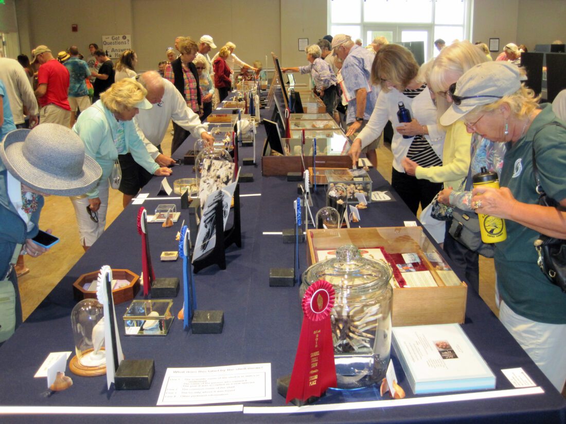 Annual Sanibel Shell Festival to take place in March | News, Sports, Jobs - SANIBEL-CAPTIVA - Island Reporter, Islander and Current - Vimarsana News