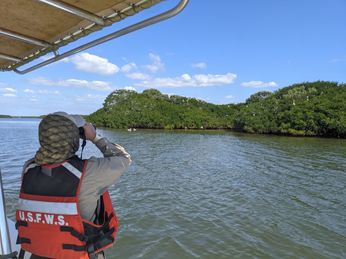 Refuge provides highlights of monthly biology activities | News, Sports, Jobs - SANIBEL-CAPTIVA - Vimarsana News