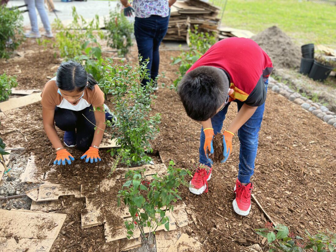 Refuge staff, volunteers assist with school's pollinator garden | News, Sports, Jobs - SANIBEL-CAPTIVA - Vimarsana News
