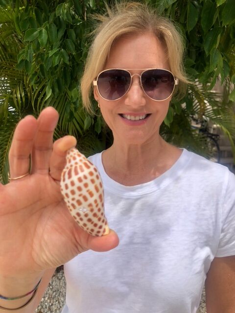 Junonia found on Captiva | News, Sports, Jobs - SANIBEL-CAPTIVA - Island Reporter, Islander and Current - Vimarsana News