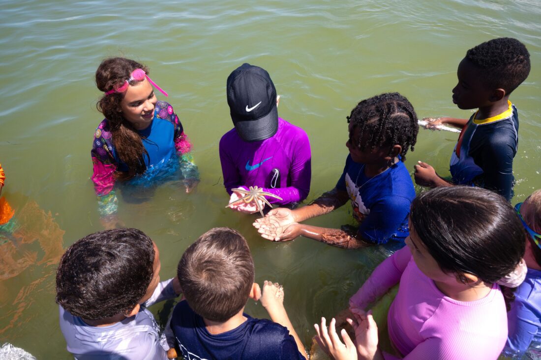 Sanibel Sea School hosts students for field trip | News, Sports, Jobs - SANIBEL-CAPTIVA - Island Reporter, Islander and Current - Vimarsana News