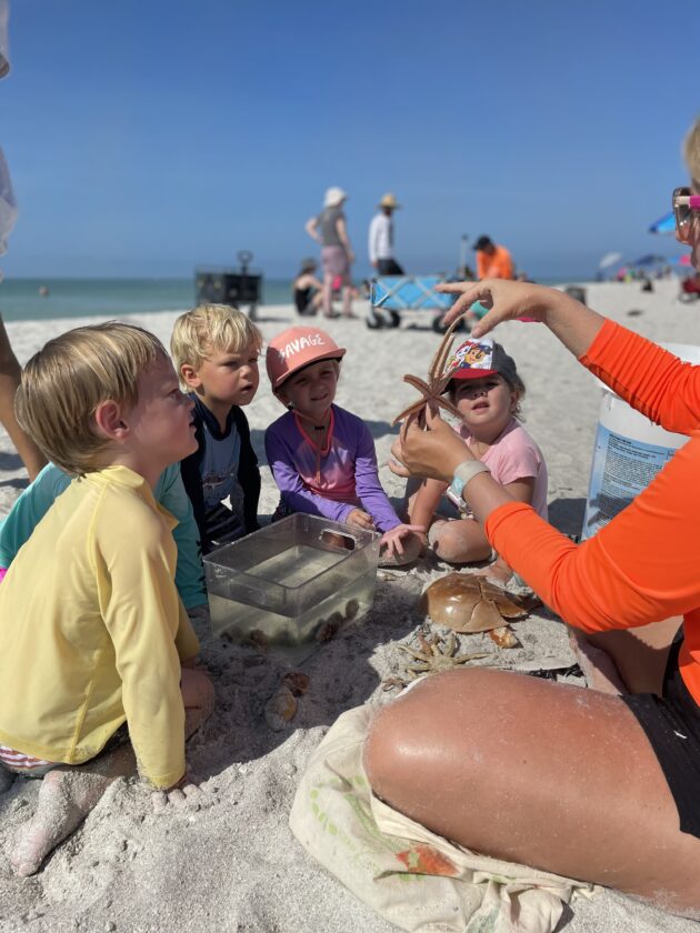 Sanibel Sea School engages CECI students | News, Sports, Jobs - SANIBEL-CAPTIVA - Island Reporter, Islander and Current - Vimarsana News