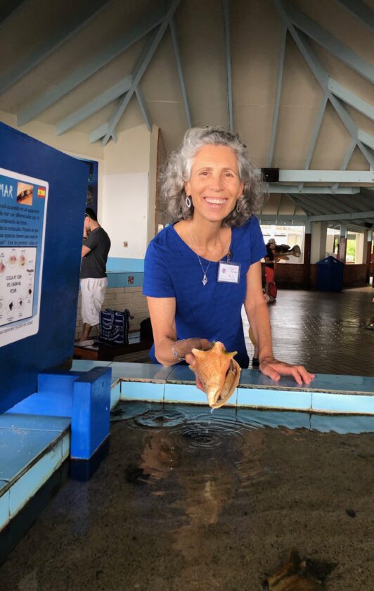Shell museum announces speakers, programs for lecture series | News, Sports, Jobs - SANIBEL-CAPTIVA - Vimarsana News