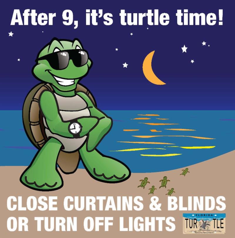Nesting season under way: Keep Sanibel's sea turtles in the dark | News, Sports, Jobs - SANIBEL-CAPTIVA - Vimarsana News
