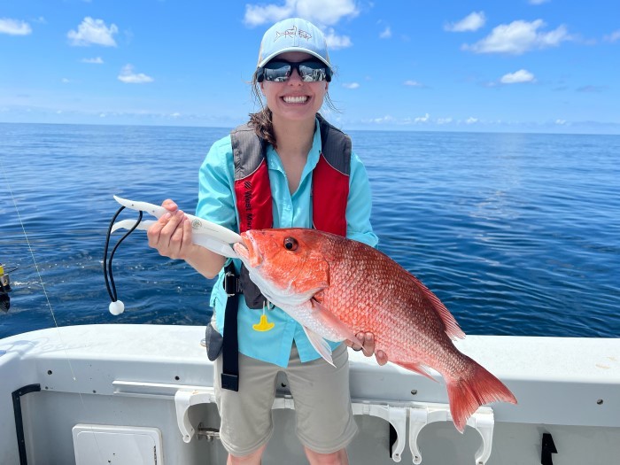 Recreational red snapper season starts in Gulf state, federal waters | News, Sports, Jobs - SANIBEL-CAPTIVA - Vimarsana News