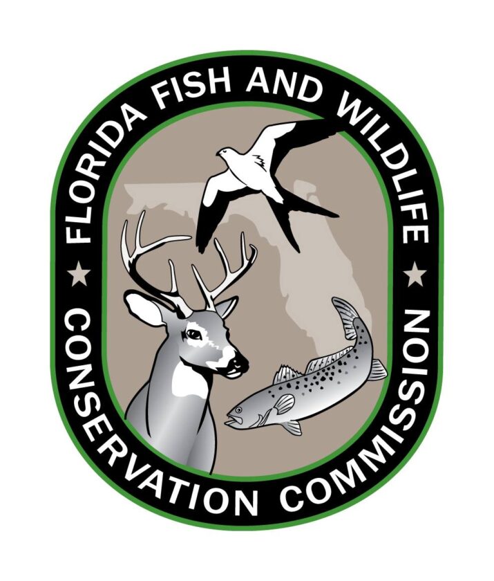 FWC offers guidance after gator incident on Sanibel | News, Sports, Jobs - SANIBEL-CAPTIVA - Island Reporter, Islander and Current - Vimarsana News