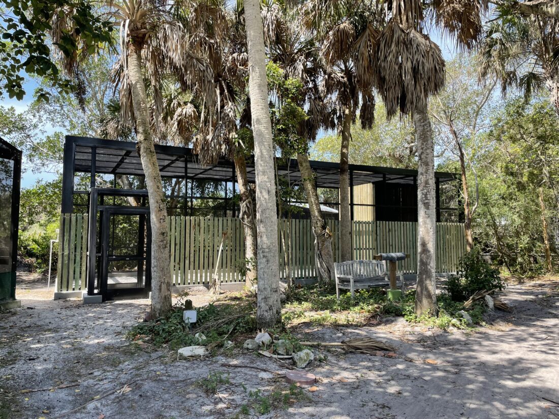 CROW finishes building four new rehab enclosures | News, Sports, Jobs - SANIBEL-CAPTIVA - Island Reporter, Islander and Current - Vimarsana News