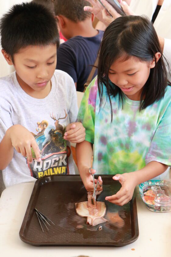 County library system celebrates successful summer program | News, Sports, Jobs - SANIBEL-CAPTIVA - Vimarsana News