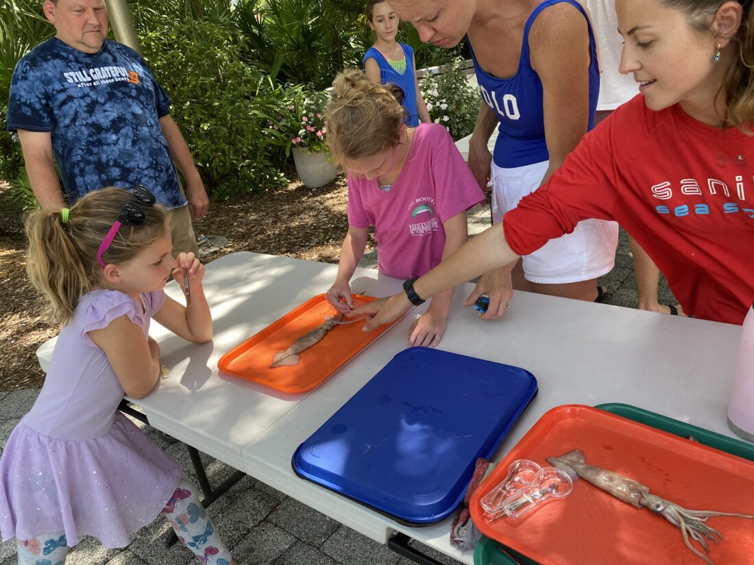 Sanibel library reading program called a success | News, Sports, Jobs - SANIBEL-CAPTIVA - Island Reporter, Islander and Current - Vimarsana News