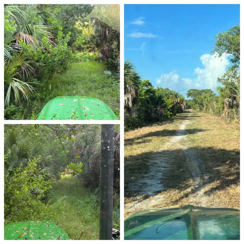 Bailey Tract reopens to public | News, Sports, Jobs - SANIBEL-CAPTIVA - Island Reporter, Islander and Current - Vimarsana News