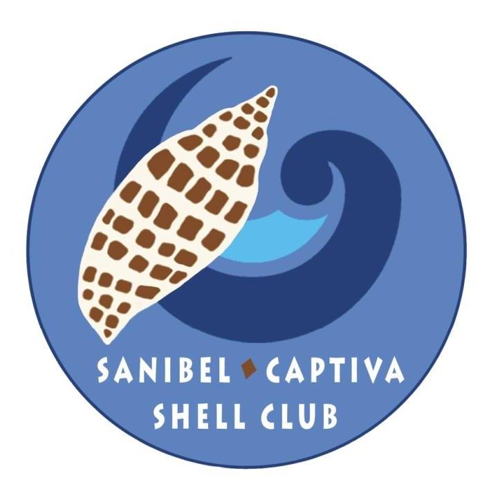 Sanibel Shell Show canceled following hurricane | News, Sports, Jobs - SANIBEL-CAPTIVA - Island Reporter, Islander and Current - Vimarsana News