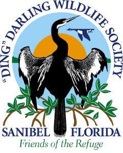 DDWS reports on refuge programming and events | News, Sports, Jobs - SANIBEL-CAPTIVA - Island Reporter, Islander and Current - Vimarsana News