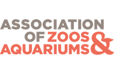 Shell museum receives accreditation, provides update | News, Sports, Jobs - SANIBEL-CAPTIVA - Island Reporter, Islander and Current - Vimarsana News