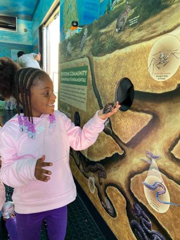 Full calendar planned for refuge's WoW | News, Sports, Jobs - SANIBEL-CAPTIVA - Island Reporter, Islander and Current - Vimarsana News