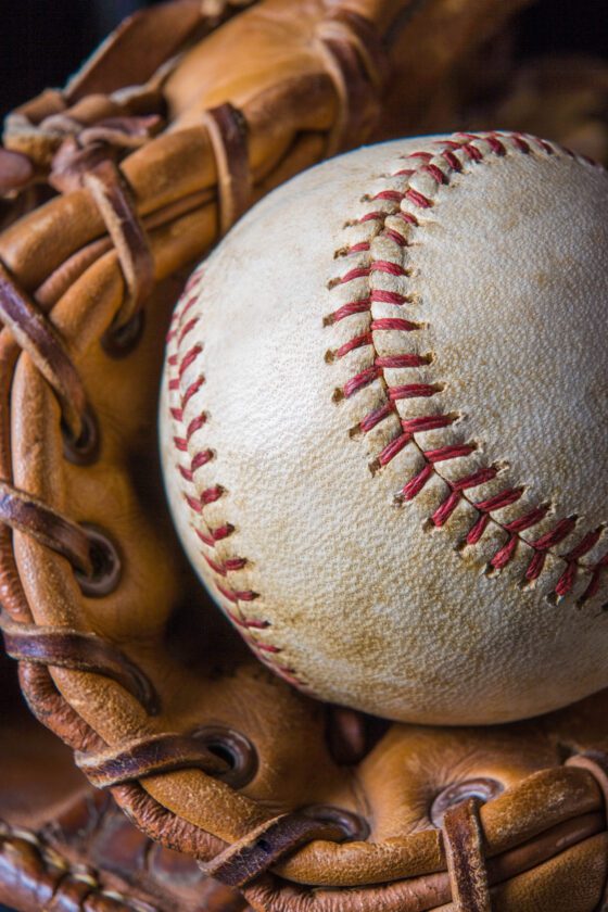 Season, group and 'pick five pack' tickets for Twins on sale | News, Sports, Jobs - SANIBEL-CAPTIVA - Vimarsana News