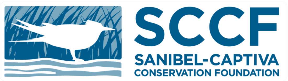 SCCF experts to discuss post-storm water quality | News, Sports, Jobs - SANIBEL-CAPTIVA - Island Reporter, Islander and Current - Vimarsana News