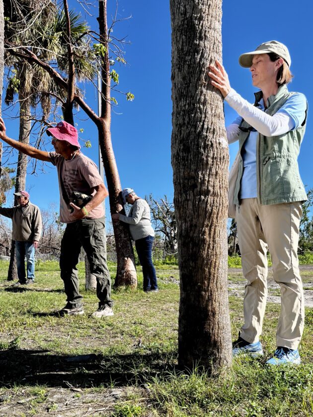 DDWS reports on refuge programming and more | News, Sports, Jobs - SANIBEL-CAPTIVA - Island Reporter, Islander and Current - Vimarsana News