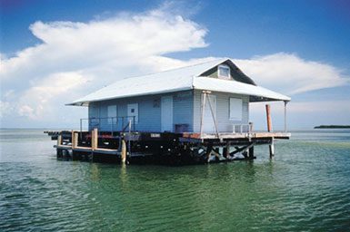 Excursion to Tarpon Lodge, Calusa mounds planned | News, Sports, Jobs - SANIBEL-CAPTIVA - Island Reporter, Islander and Current - Vimarsana News