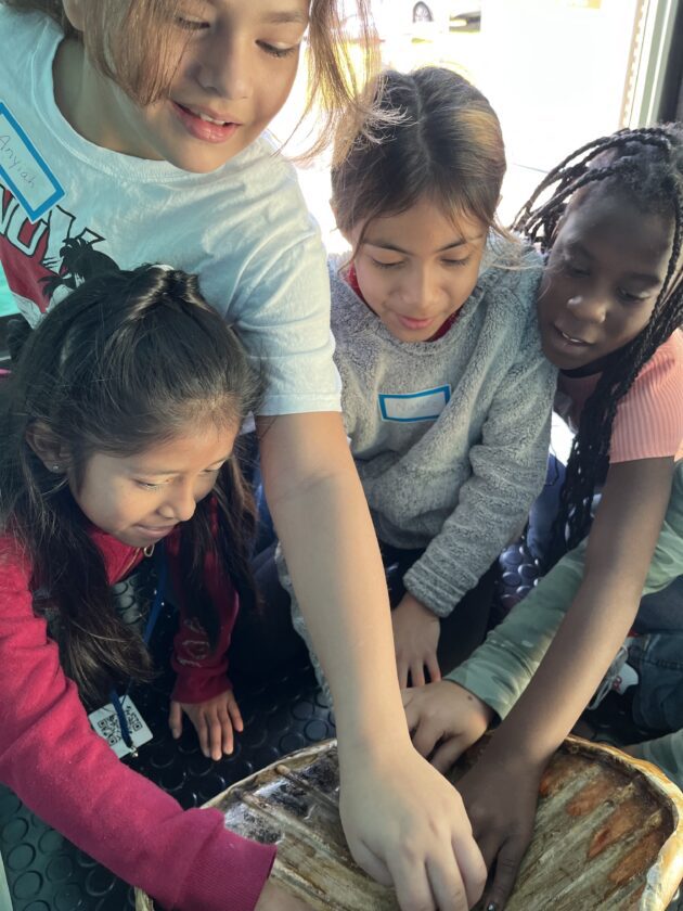Hands-on learning with refuge's WoW | News, Sports, Jobs - SANIBEL-CAPTIVA - Island Reporter, Islander and Current - Vimarsana News