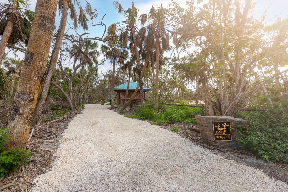 Shipley Trail reopens to visitors | News, Sports, Jobs - SANIBEL-CAPTIVA - Island Reporter, Islander and Current - Vimarsana News