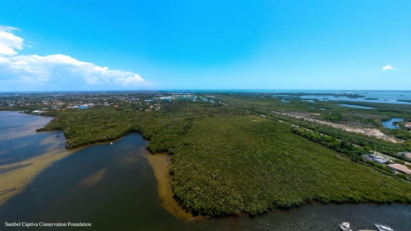 SCCF urges attendance at final hearing for Eden Oak | News, Sports, Jobs - SANIBEL-CAPTIVA - Island Reporter, Islander and Current - Vimarsana News