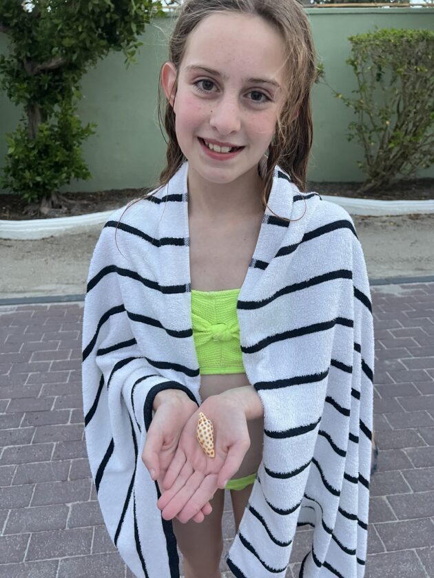 Junonia found on Captiva | News, Sports, Jobs - SANIBEL-CAPTIVA - Island Reporter, Islander and Current - Vimarsana News