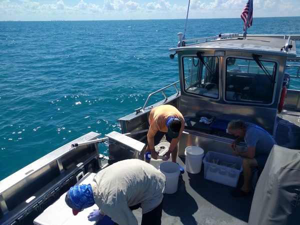 Research seeks to transform HAB management | News, Sports, Jobs - SANIBEL-CAPTIVA - Island Reporter, Islander and Current - Vimarsana News