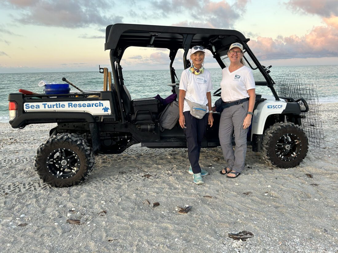 A day with SCCF sea turtle volunteers | News, Sports, Jobs - SANIBEL-CAPTIVA - Island Reporter, Islander and Current - Vimarsana News