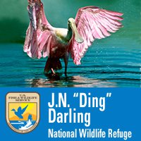 DDWS reports on refuge programming and more | News, Sports, Jobs - SANIBEL-CAPTIVA - Island Reporter, Islander and Current - Vimarsana News