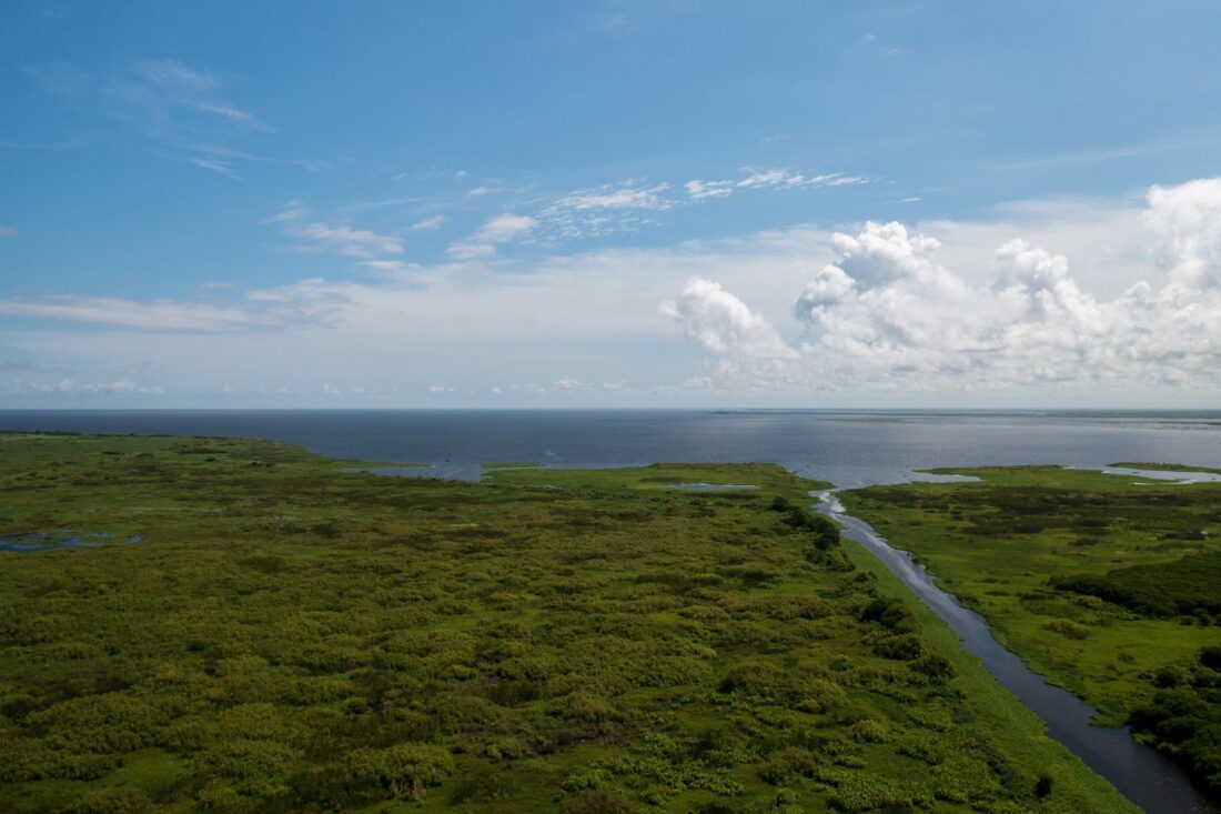 Lake O levels threaten ecological health, SCCF reports | News, Sports, Jobs - SANIBEL-CAPTIVA - Vimarsana News