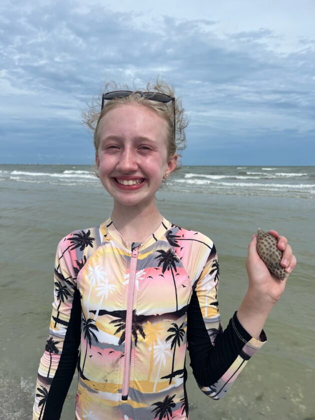Junonia found on Sanibel | News, Sports, Jobs - SANIBEL-CAPTIVA - Island Reporter, Islander and Current - Vimarsana News