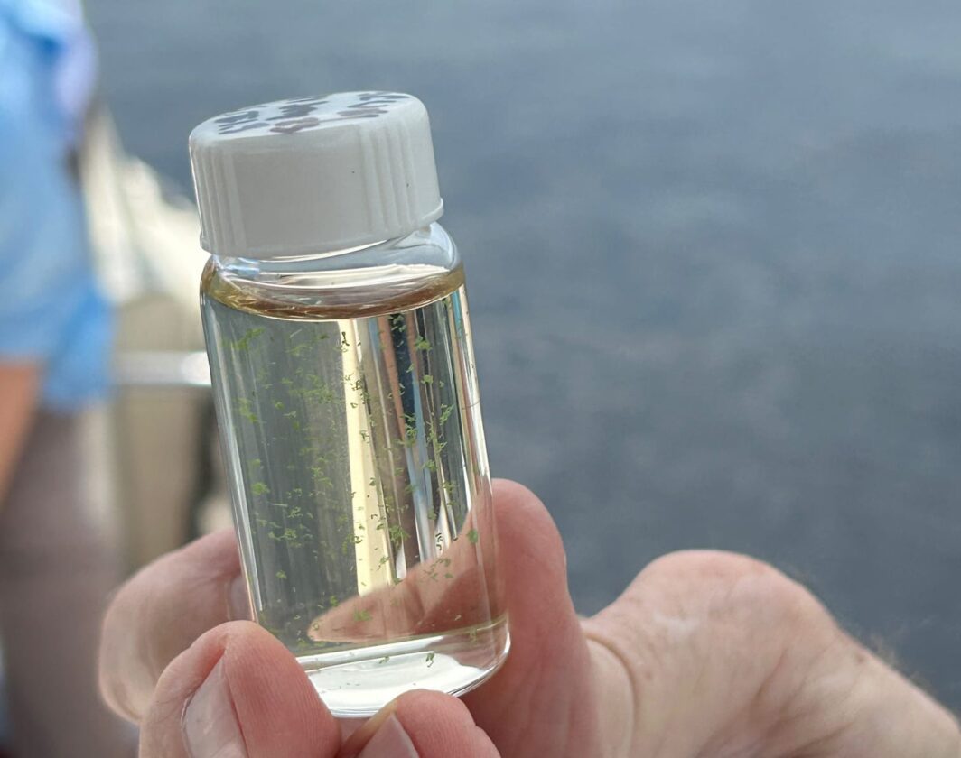 Team tracks toxic blue-green algae bloom | News, Sports, Jobs - SANIBEL-CAPTIVA - Island Reporter, Islander and Current - Vimarsana News