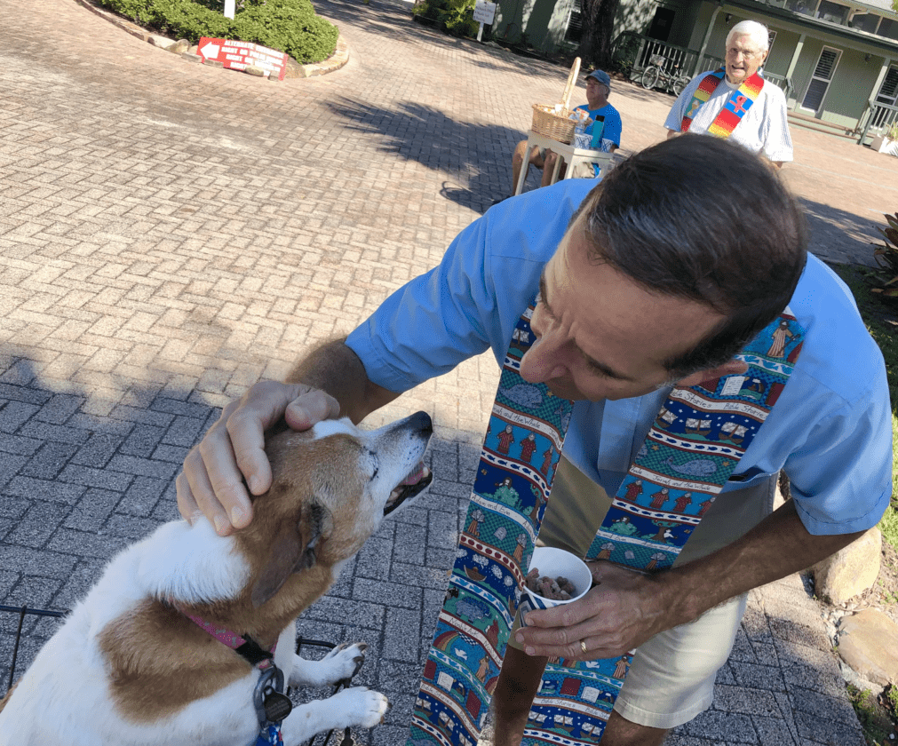 UPDATE: Blessing of the Animals planned | News, Sports, Jobs - SANIBEL-CAPTIVA - Island Reporter, Islander and Current - Vimarsana News