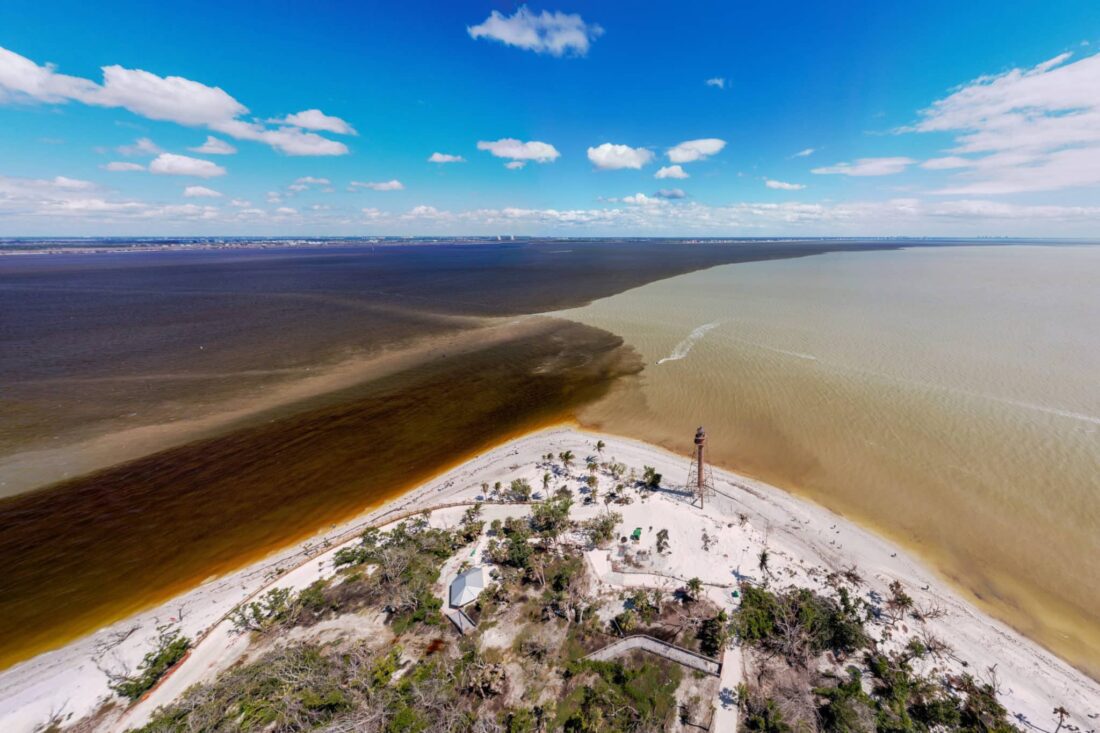 Beginnings of red tide detected in region, SCCF reports | News, Sports, Jobs - SANIBEL-CAPTIVA - Vimarsana News