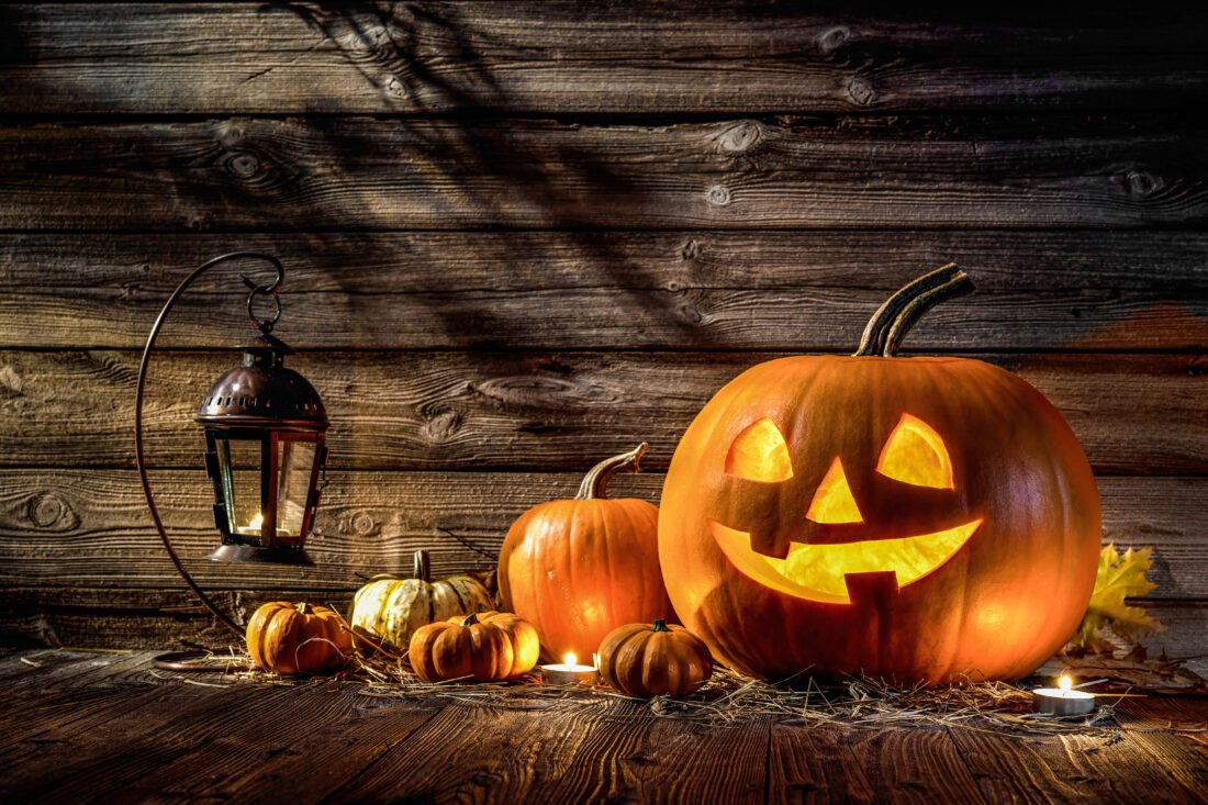 Island activities to mark holiday, season | News, Sports, Jobs - SANIBEL-CAPTIVA - Island Reporter, Islander and Current - Vimarsana News