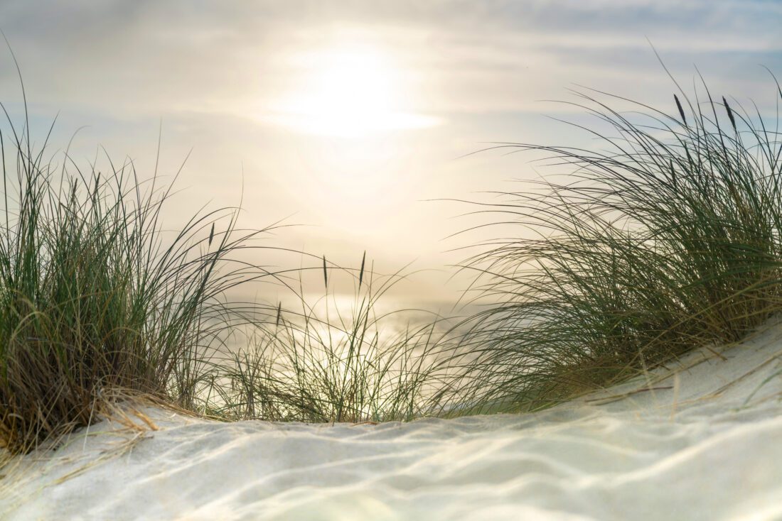State comments 'false flag' on county changes | News, Sports, Jobs - SANIBEL-CAPTIVA - Island Reporter, Islander and Current - Vimarsana News