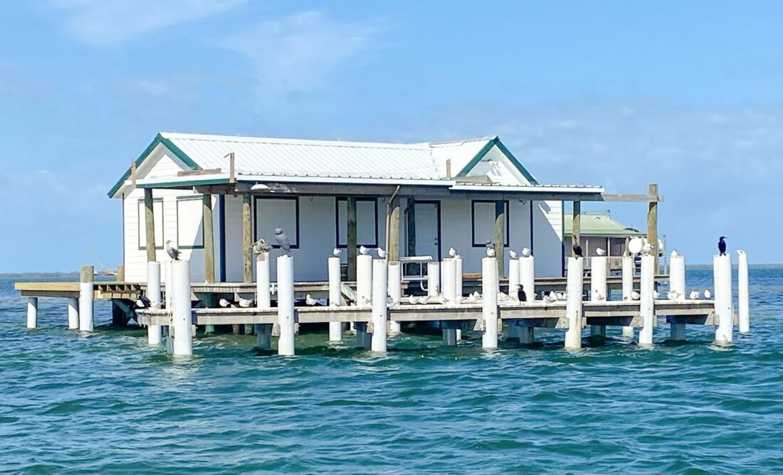 CIHS launches new season with Pine Island Sound trip | News, Sports, Jobs - SANIBEL-CAPTIVA - Island Reporter, Islander and Current - Vimarsana News