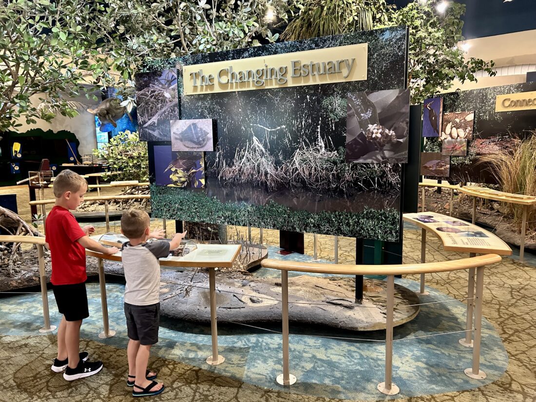 DDWS provides storm recovery update on refuge | News, Sports, Jobs - SANIBEL-CAPTIVA - Island Reporter, Islander and Current - Vimarsana News