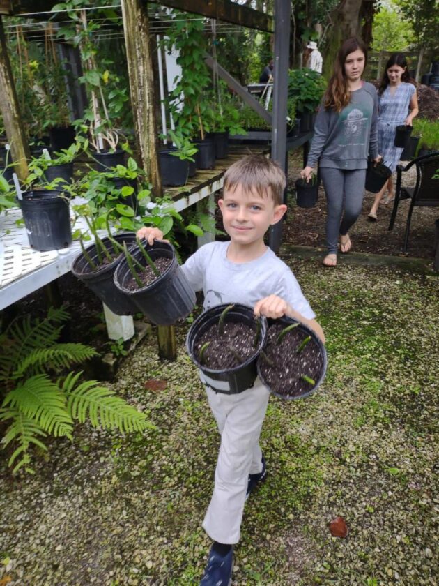 Coastal Watch to host mangrove adoption day | News, Sports, Jobs - SANIBEL-CAPTIVA - Island Reporter, Islander and Current - Vimarsana News