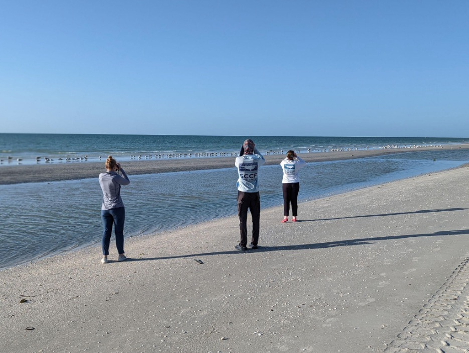 SCCF to host guided bird walks | News, Sports, Jobs - SANIBEL-CAPTIVA - Island Reporter, Islander and Current - Vimarsana News