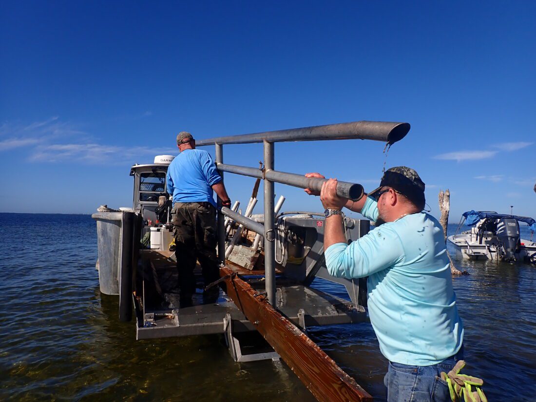 Refuge provides highlights of monthly biology activities | News, Sports, Jobs - SANIBEL-CAPTIVA - Vimarsana News