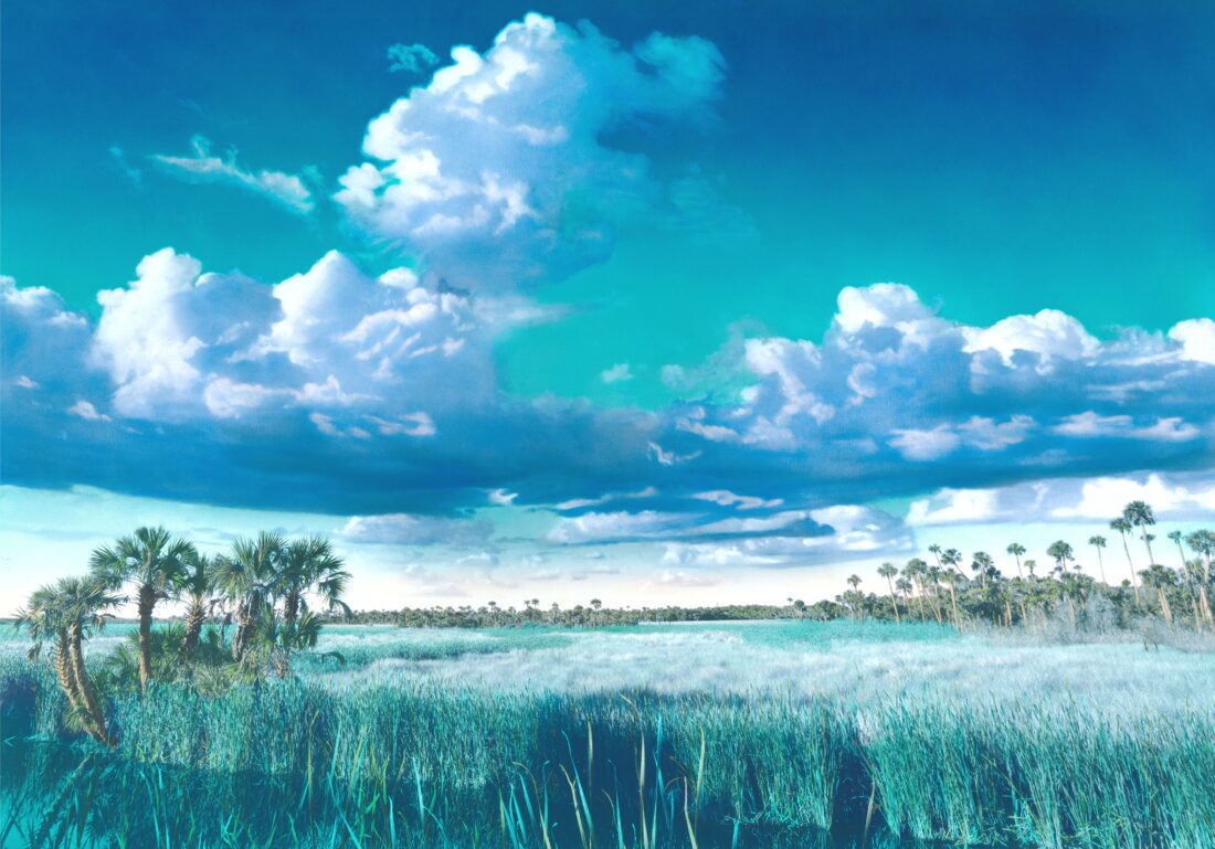 DDWS reports on refuge programming and more | News, Sports, Jobs - SANIBEL-CAPTIVA - Island Reporter, Islander and Current - Vimarsana News