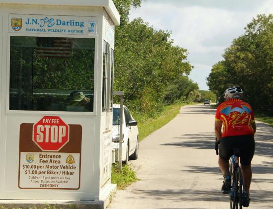DDWS reports on refuge programming and more | News, Sports, Jobs - SANIBEL-CAPTIVA - Island Reporter, Islander and Current - Vimarsana News