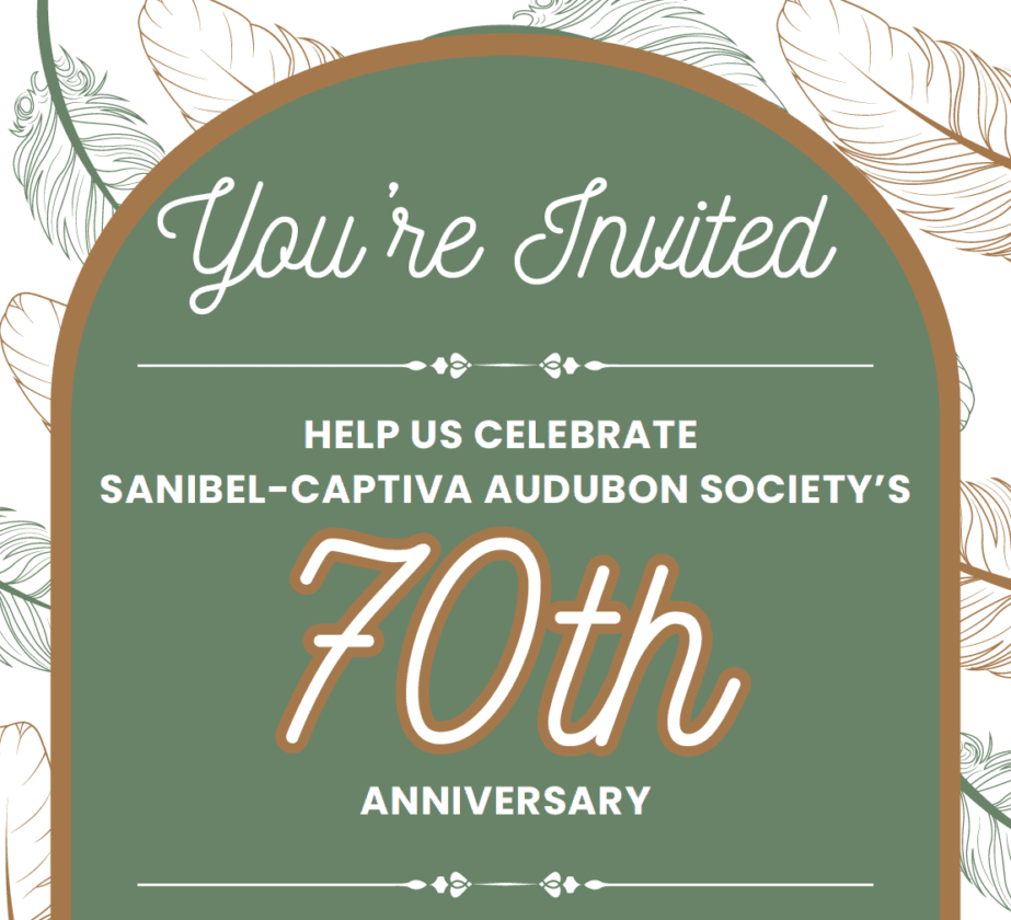 San-Cap Audubon to mark anniversary with celebration | News, Sports, Jobs - SANIBEL-CAPTIVA - Island Reporter, Islander and Current - Vimarsana News