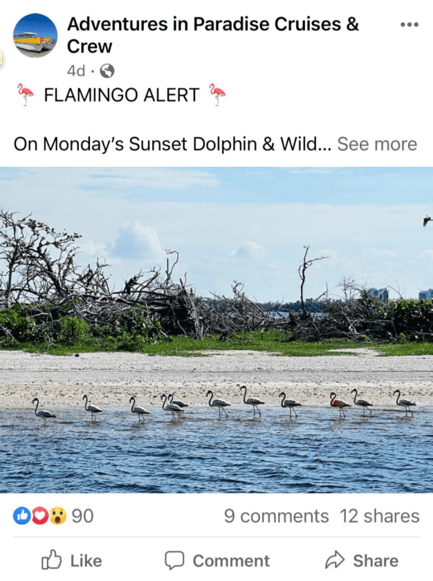 Refuge provides highlights of monthly biology activities | News, Sports, Jobs - SANIBEL-CAPTIVA - Vimarsana News