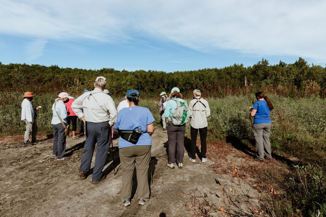 UPDATE: Weeds 'n' Seeds plant walk planned | News, Sports, Jobs - SANIBEL-CAPTIVA - Island Reporter, Islander and Current - Vimarsana News