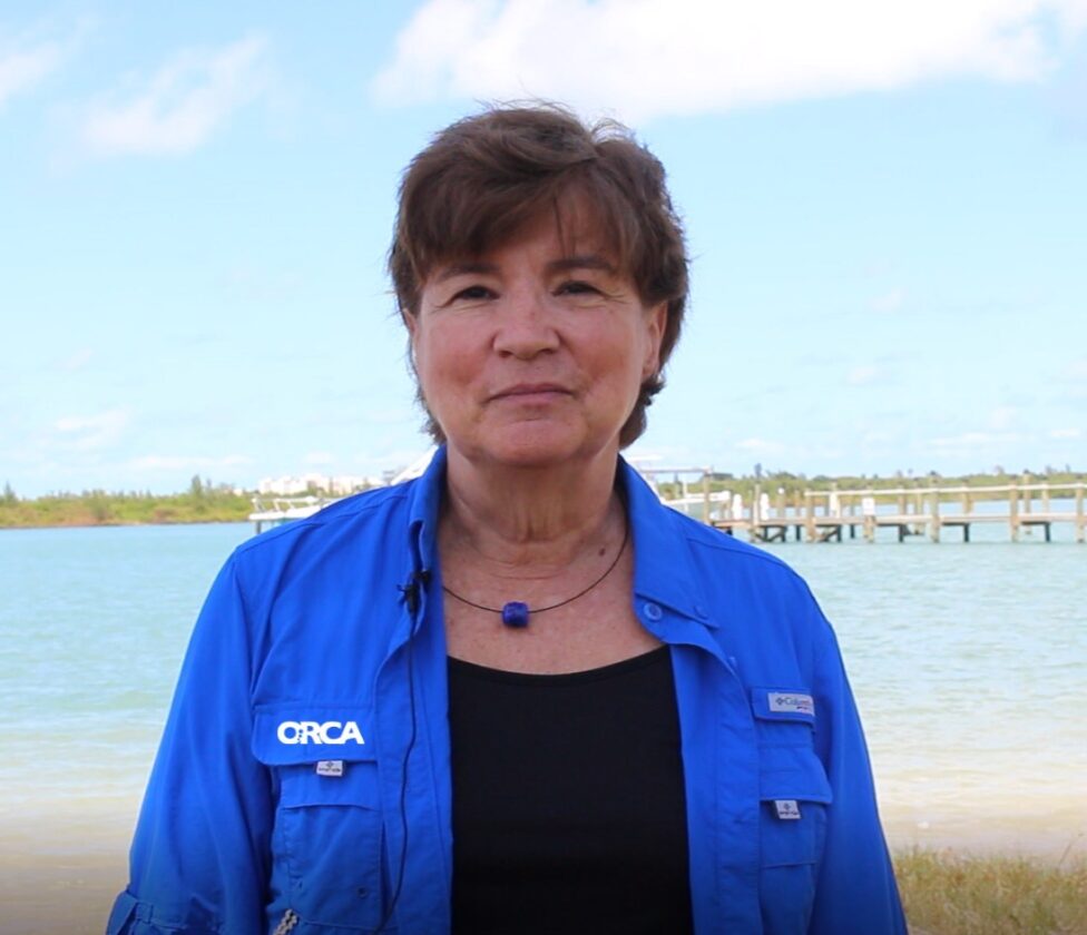 Shell club to hold monthly meeting | News, Sports, Jobs - SANIBEL-CAPTIVA - Island Reporter, Islander and Current - Vimarsana News